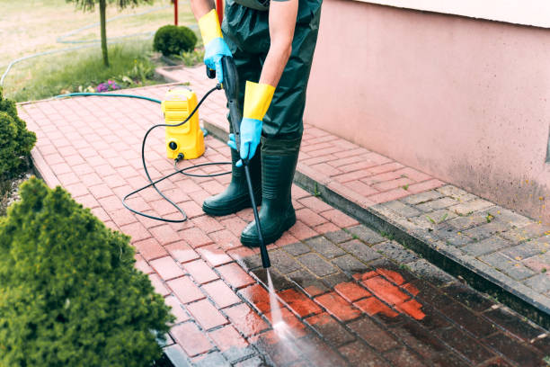 Best Sidewalk and Walkway Cleaning  in Prairie View, TX